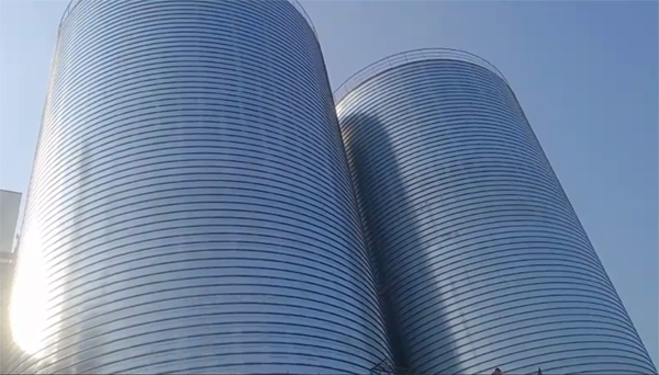 咸安2座混凝土高架卷板仓